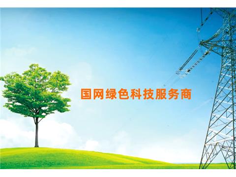 打造“国网绿色科技服务商”标杆
